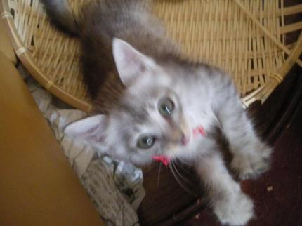 2010-09-20 10:36:03