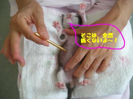 2010-09-03 10:14:37