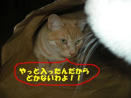 2010-06-03 09:28:56