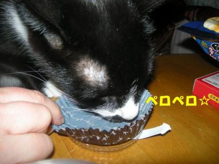 2010-02-20 12:41:35