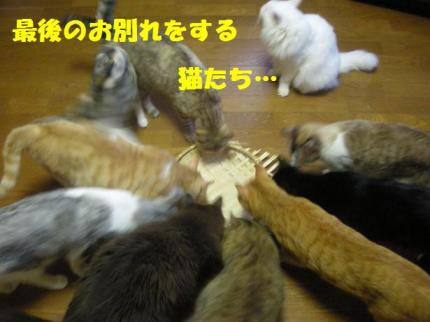 2010-09-20 10:36:58