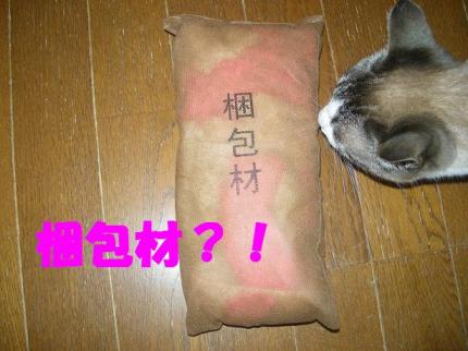 2010-05-09 10:32:41