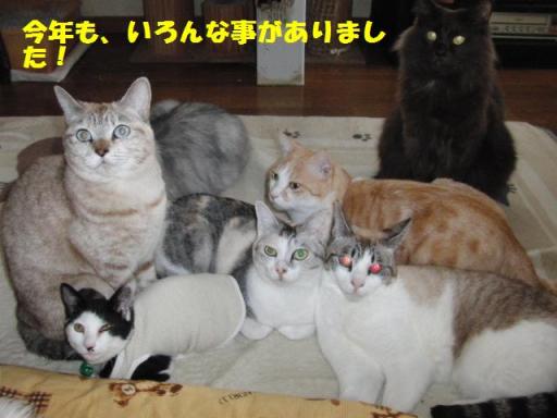 2010-12-31 10:26:52