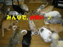 2010-02-28 07:58:46