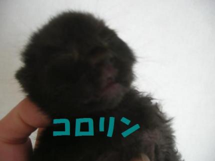 2010-05-07 09:41:02