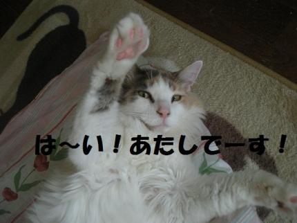 2010-02-28 08:00:05
