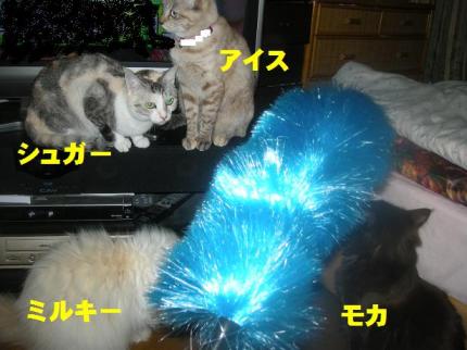 2010-02-05 09:21:52