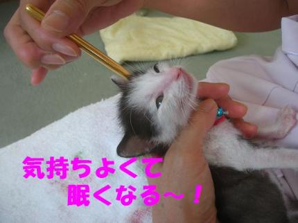 2010-09-03 10:17:32
