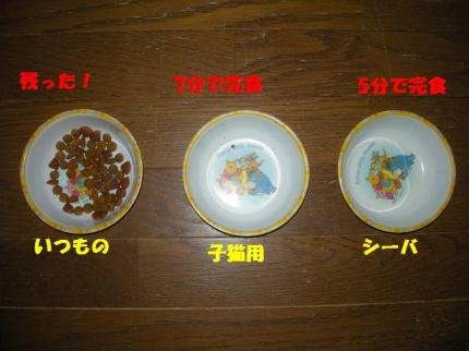 2010-06-20 10:18:43