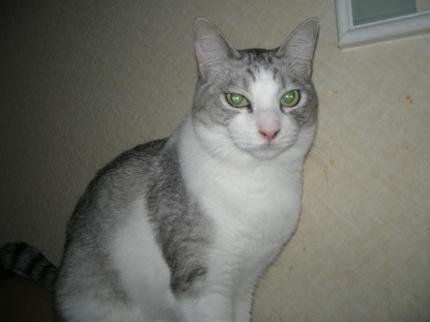 2009-10-22 10:19:54