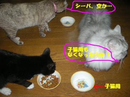 2010-06-20 10:19:13