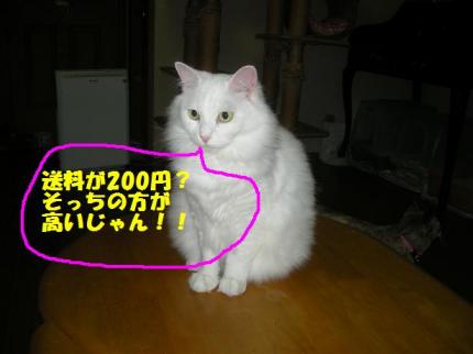 2010-07-19 08:39:44
