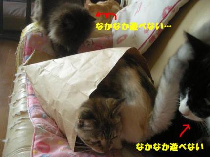 2010-06-03 09:31:45