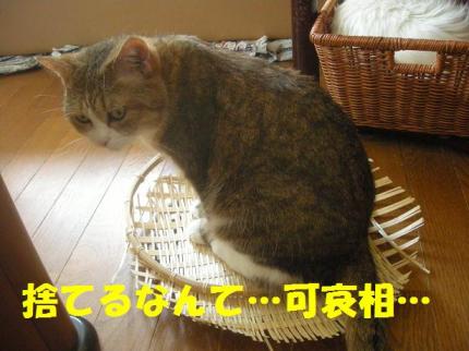 2010-09-20 10:40:23