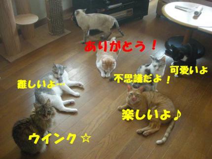 2010-05-01 09:13:39