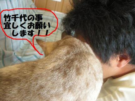 2010-09-12 10:19:29
