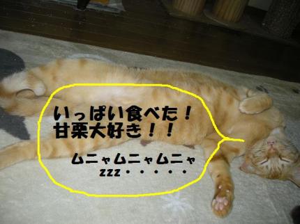 2010-03-01 09:36:11
