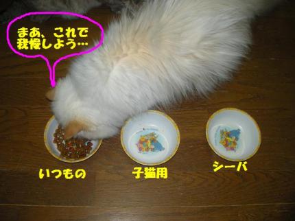 2010-06-20 10:20:12
