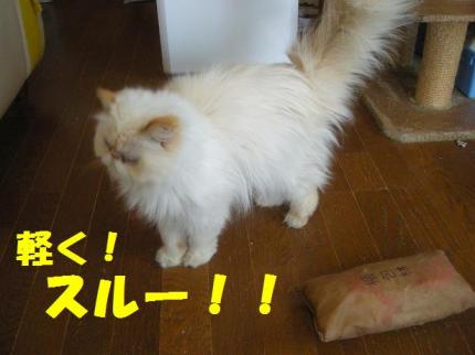 2010-05-09 10:38:15