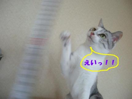 2010-06-11 10:14:14