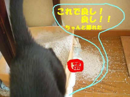 2010-07-19 08:40:13