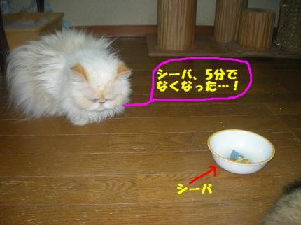 2010-06-20 10:20:40