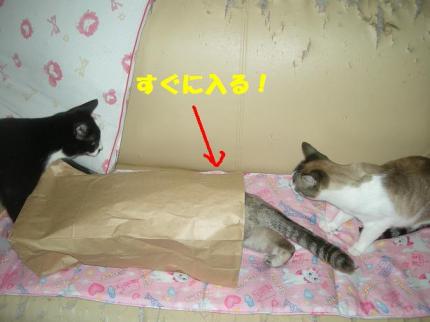 2010-06-03 09:33:10
