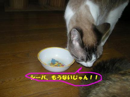 2010-06-20 10:21:15