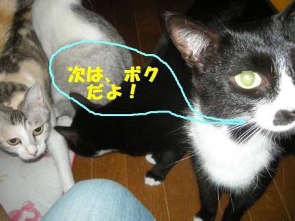 2010-03-31 08:56:15