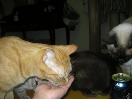 2010-03-01 09:37:15