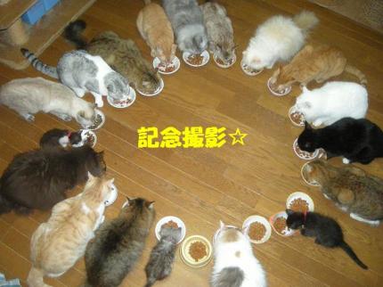 2010-09-12 10:20:48