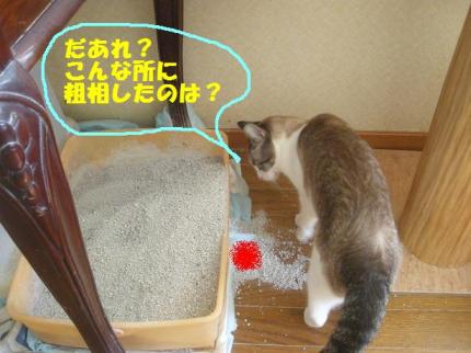 2010-07-19 08:40:41
