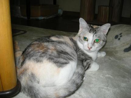 2010-01-28 16:27:09