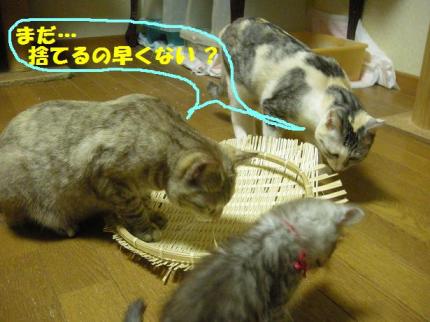 2010-09-20 10:42:01