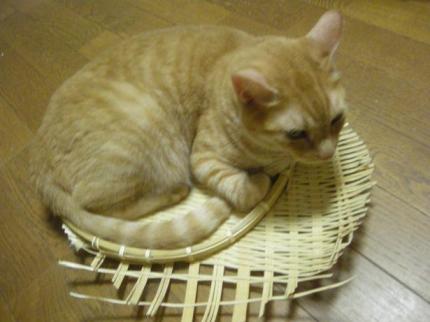 2010-09-20 10:42:29