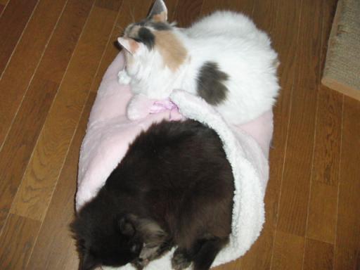 2012-01-21 11:42:21