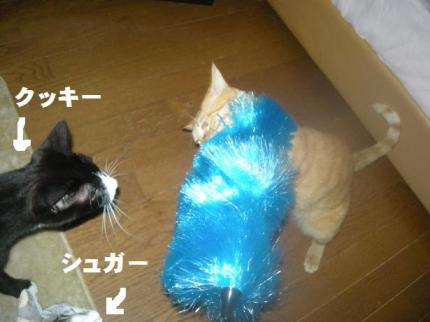 2010-02-05 09:24:51