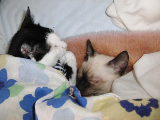 2012-01-21 11:42:50