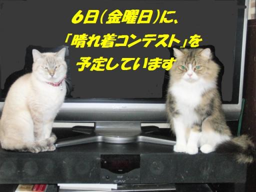 2012-01-04 11:08:20