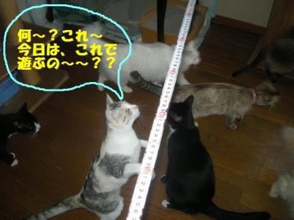 2010-06-11 10:16:17