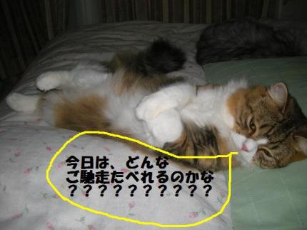 2010-05-03 08:16:39