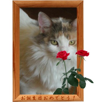 ファーナ誕生日フォトスタンド.jpg