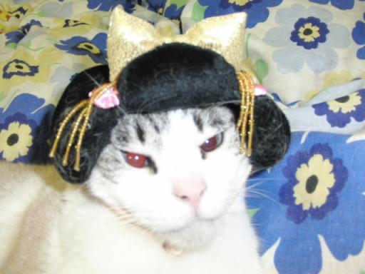2012-01-11 09:33:52