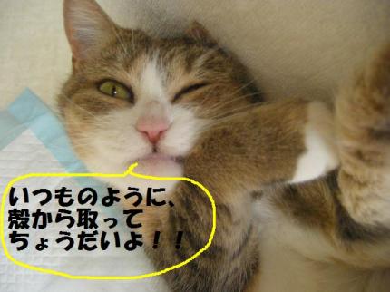 2010-05-21 10:04:30
