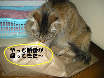 2010-06-03 09:35:51