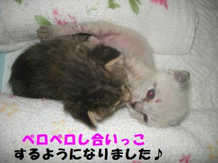 2010-03-31 08:58:22