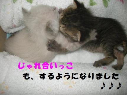 2010-03-31 08:58:44