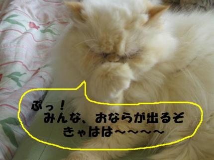 2010-03-01 09:40:58
