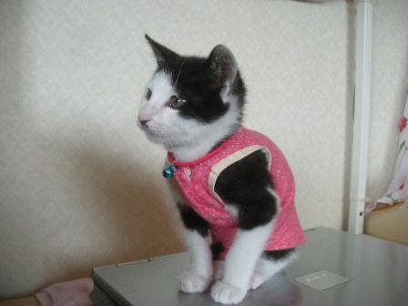 2010-10-21 08:58:48