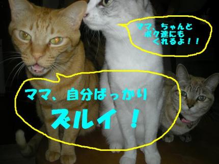 2010-03-01 09:41:38